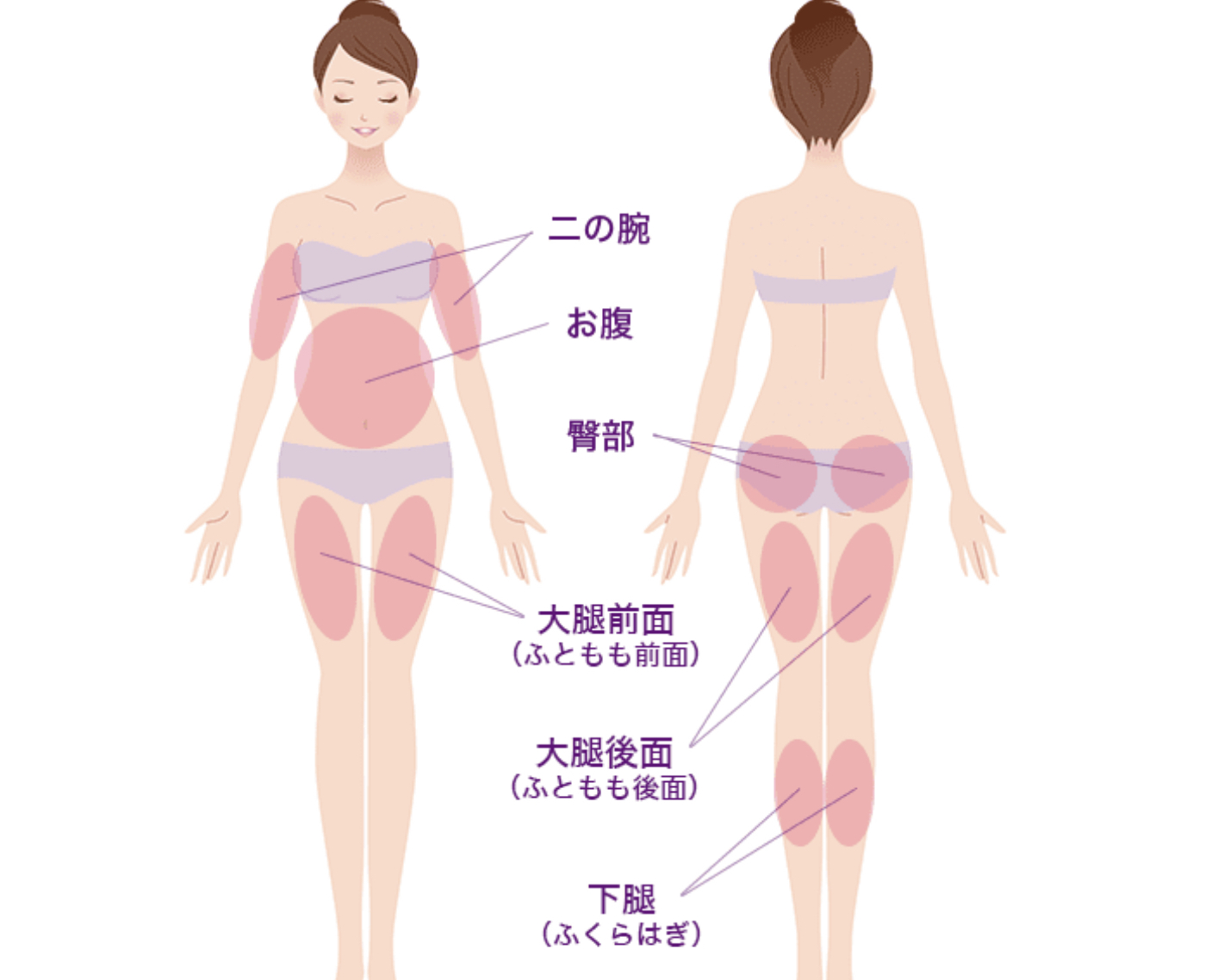 Image スカルプ施術部位